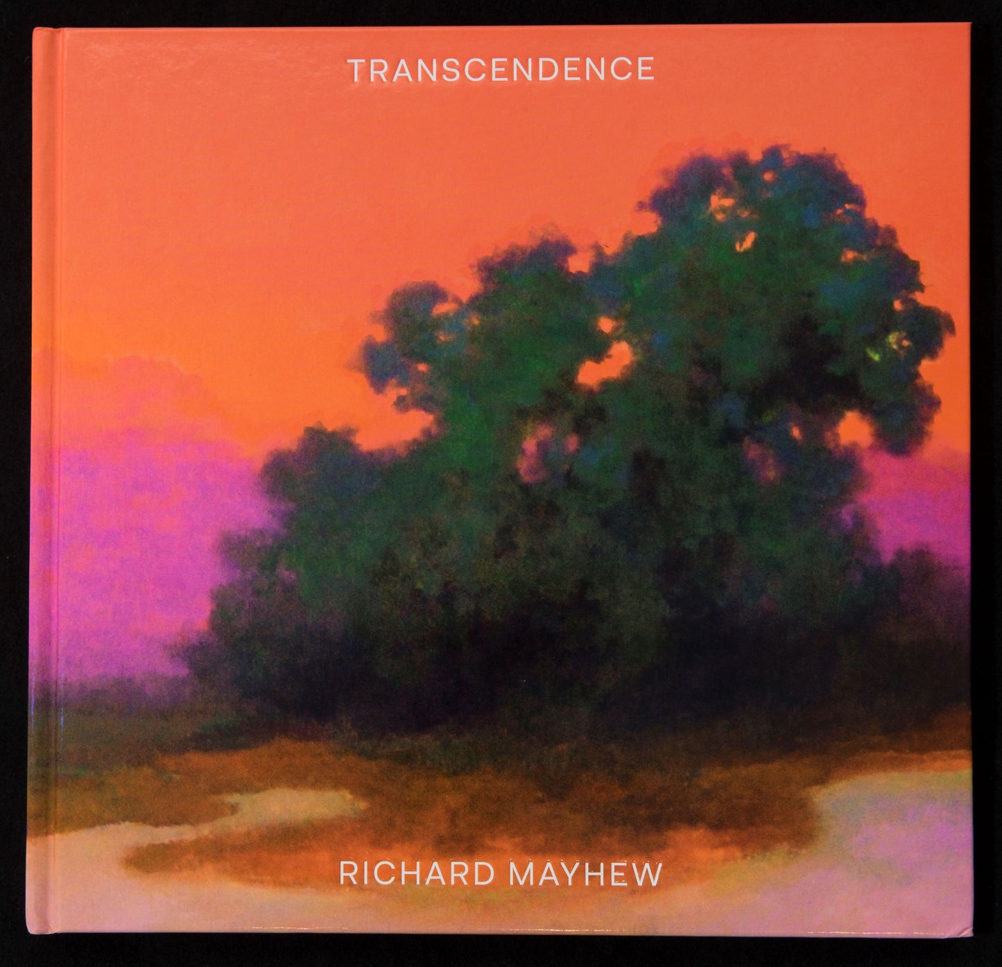 Richard Mayhew: Transcendence